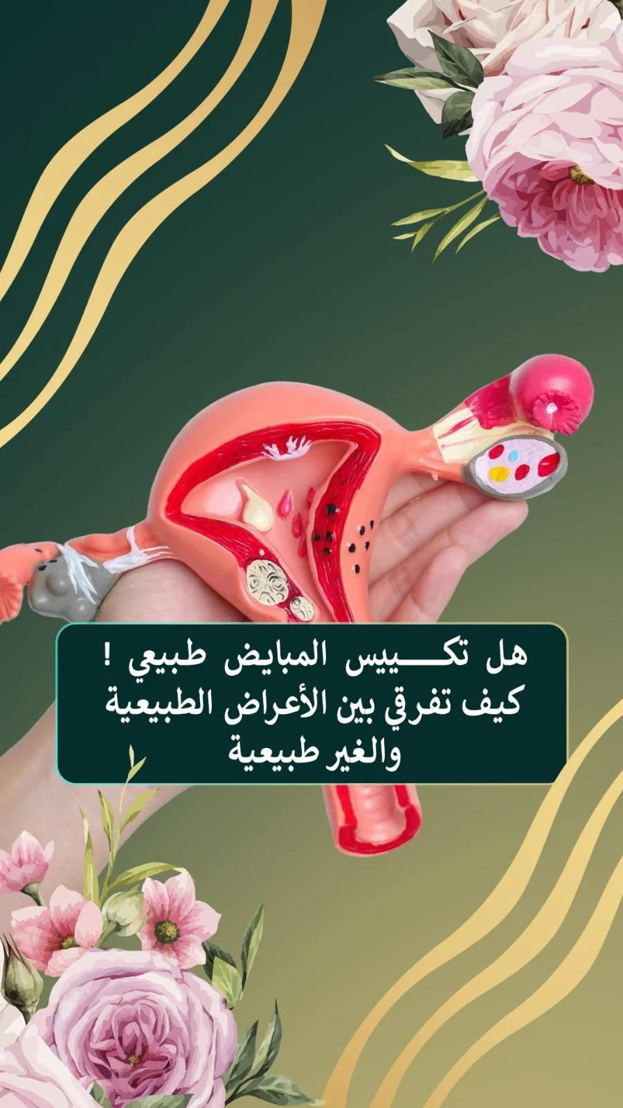 Dr. Samir Al-Qarain: 19